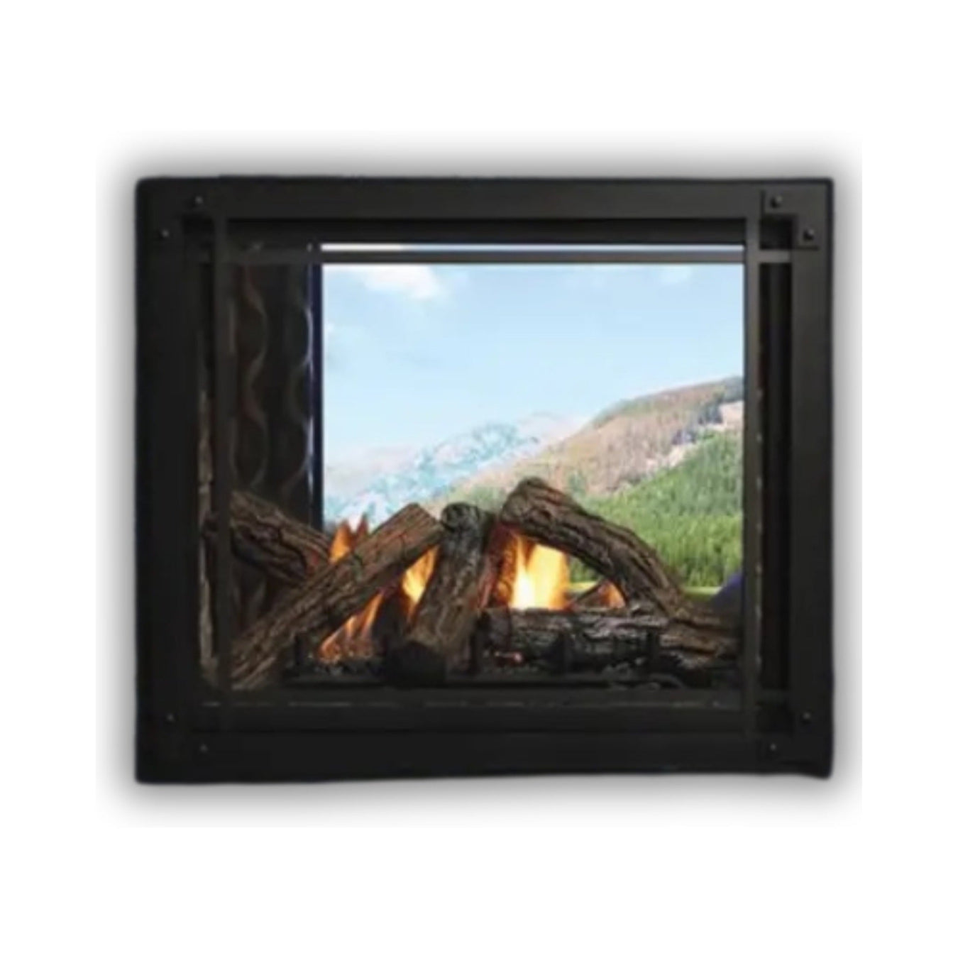 Double Sided Gas Fireplace