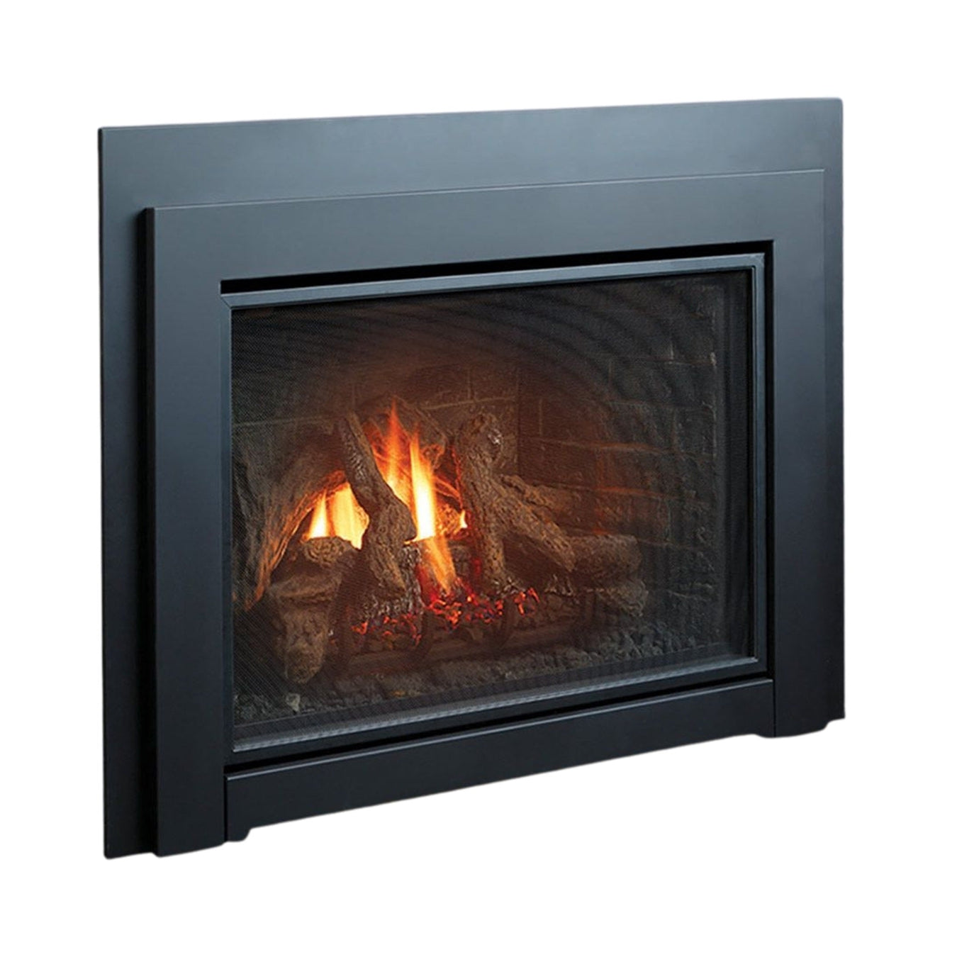 Gas Fireplace Insert