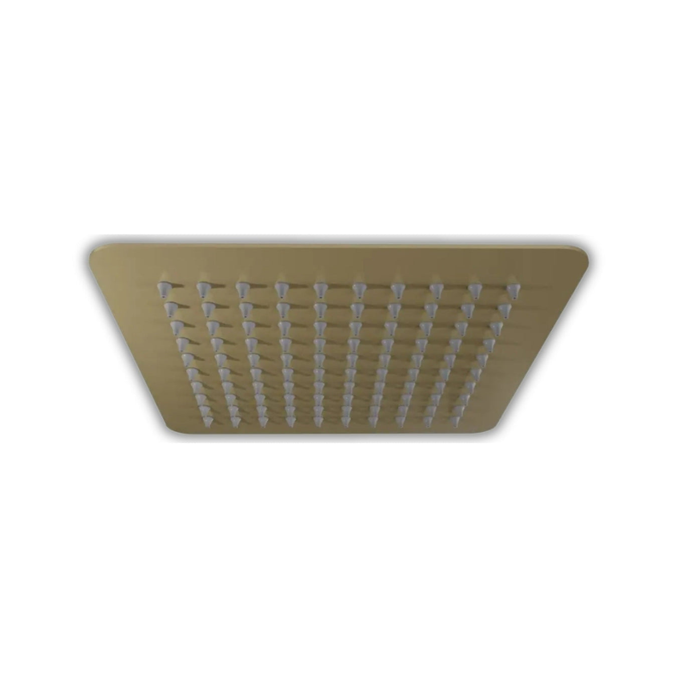 Rainfall Shower Head