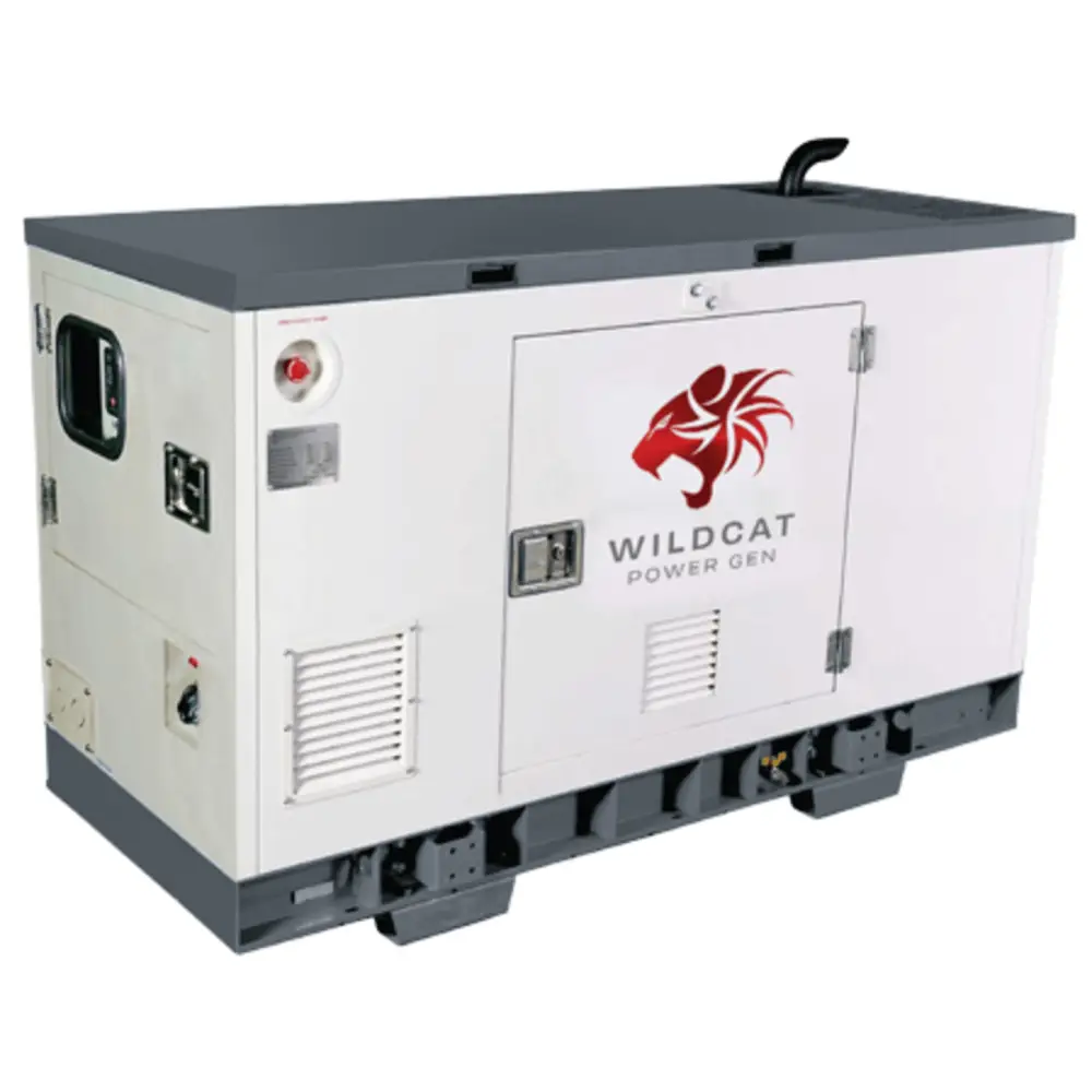 Diesel Generators