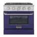 Kucht 30 Inch Pro-Style KDF Series Liquid Propane Gas Stainless Steel Dual Fuel Range with Blue Oven Door Main