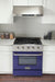 Kucht 30 Inch Professional 4.2 Cu. Ft. Liquid Propane Gas Stainless Steel Range with Sealed Burners and Convection Oven in Blue Oven Door Atatched