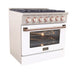 Kucht 36 Inch Pro-Class KDF Series Customized Natural Gas Stainless Steel Dual Fuel Range with White Oven Door RG Side