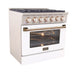 Kucht 36 Inch Professional KNG Series Customized Natural Gas Stainless Steel Range with White Oven Door G Side