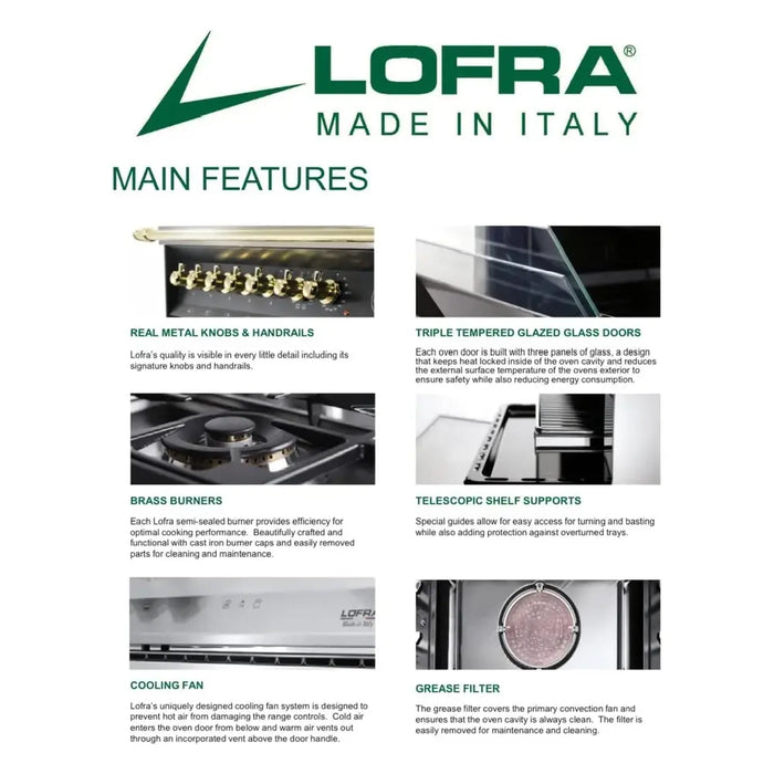 Main Features