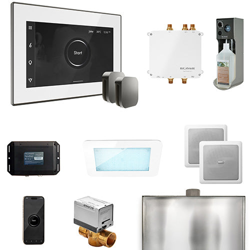 Mr. Steam Residential Bliss Steam Shower Max Control Package Satin Steel
