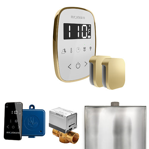 Mr. Steam Residential ButlerFlex Steam Shower Max Control Package Satin Brass
