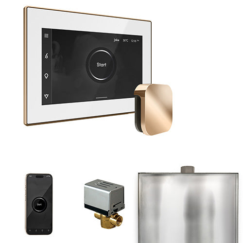 Mr. Steam Residential XButler Steam Shower Control Package Polished Gold
