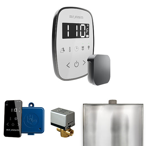 Mr. Steam Residential ButlerFlex Steam Shower Control Package Satin Steel
