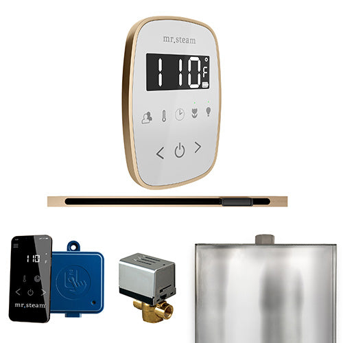 Mr. Steam Residential ButlerFlex Steam Linear Shower Control Package Brushed Bronze
