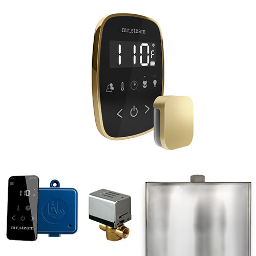 Mr. Steam Residential ButlerFlex Steam Shower Control Package Satin Brass
