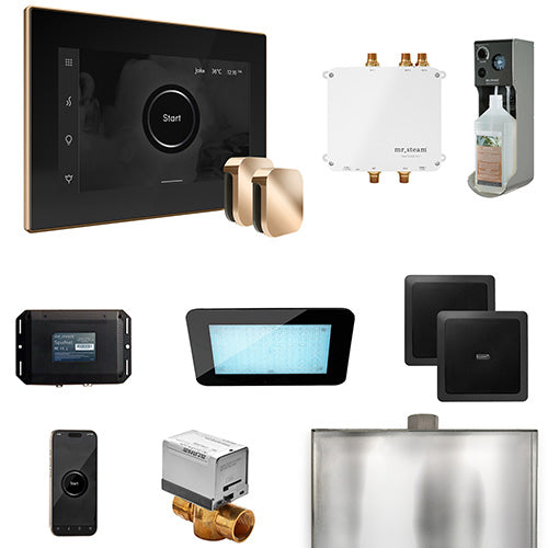 Mr. Steam Residential Bliss Steam Shower Max Control Package Polished Gold
