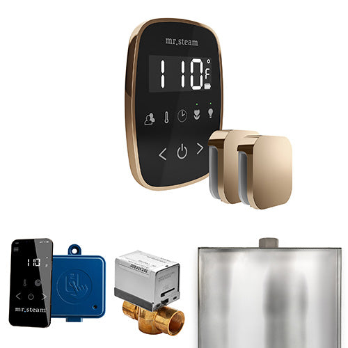 Mr. Steam Residential ButlerFlex Steam Shower Max Control Package Polished Gold
