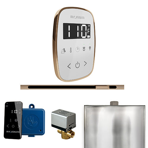 Mr. Steam Residential ButlerFlex Steam Linear Shower Control Package Polished Gold
