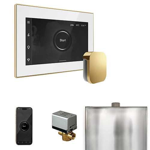 Mr. Steam Residential XButler Steam Shower Control Package Polished Brass
