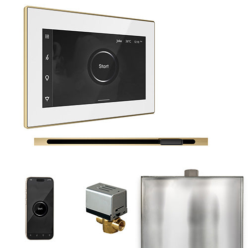 Mr. Steam Residential XButler Steam Shower Linear Control Package Satin Brass
