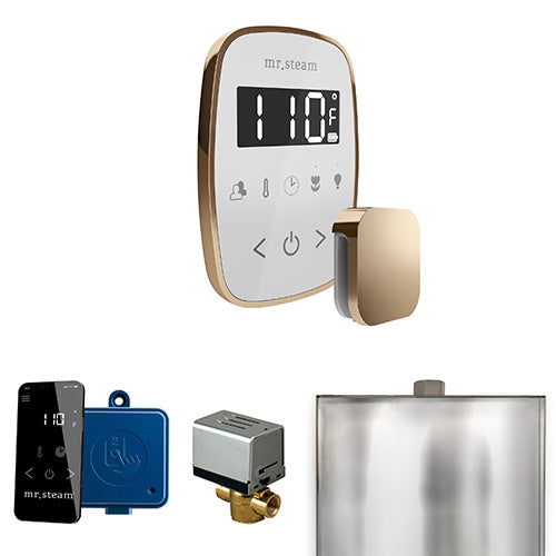 Mr. Steam Residential ButlerFlex Steam Shower Control Package Polished Gold