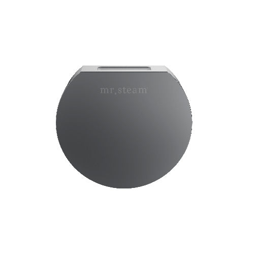 Mr. Steam Round Aroma Designer Finish SteamHead Satin Steel
