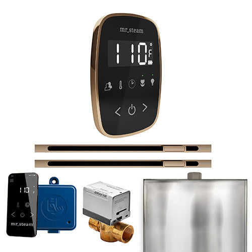 Mr. Steam Residential ButlerFlex Steam Shower Max Control Package Polished Gold
