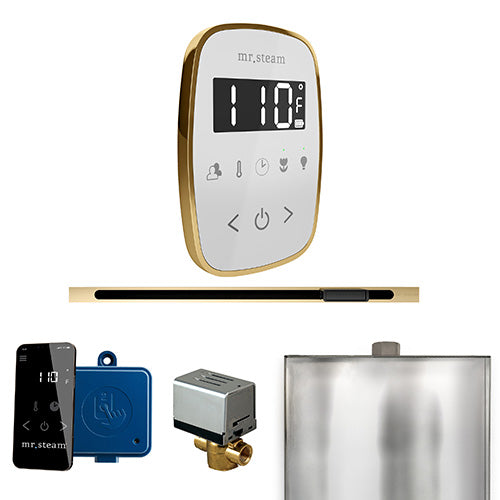 Mr. Steam Residential ButlerFlex Steam Linear Shower Control Package Polished Brass
