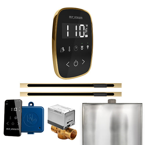 Mr. Steam Residential ButlerFlex Steam Shower Max Control Package Polished Brass
