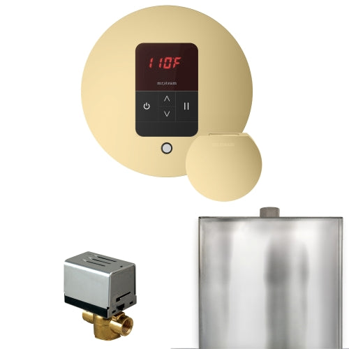 Mr. Steam Residential Basic Butler Steam Shower Control Package Satin Brass
