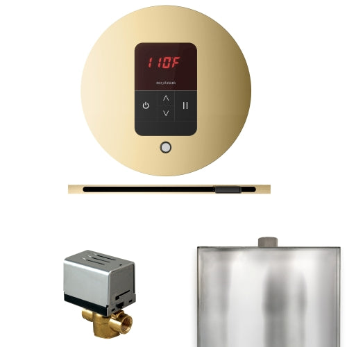 Mr. Steam Residential Basic Butler Steam Linear Shower Control Package Satin Brass
