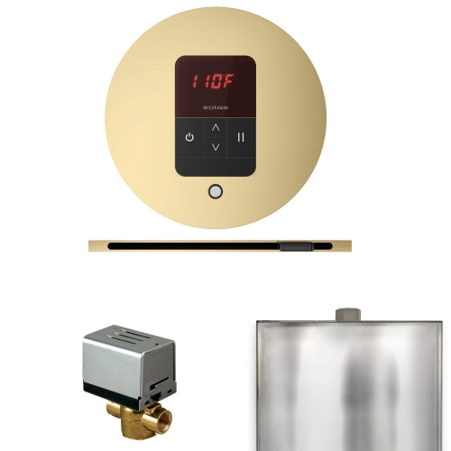 Mr. Steam Residential Basic Butler Steam Linear Shower Control Package Polished Brass