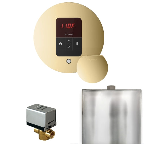 Mr. Steam Residential Basic Butler Steam Shower Control Package Polished Brass
