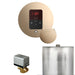 Mr. Steam Residential Basic Butler Steam Shower Control Package Polished Gold
