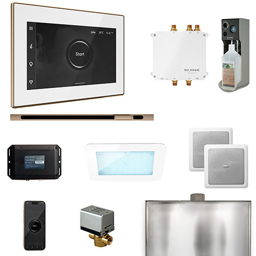 Mr. Steam Residential Bliss Steam Shower Linear Control Package Polished Gold
