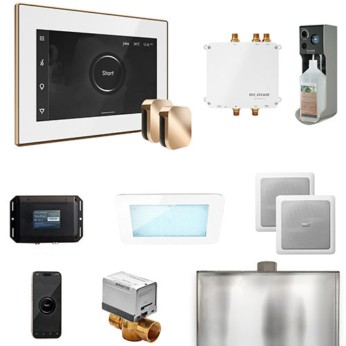 Mr. Steam Residential Bliss Steam Shower Max Control Package Polished Gold
