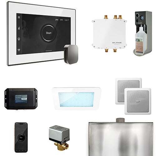 Mr. Steam Residential Bliss Steam Shower Control Package Satin Steel
