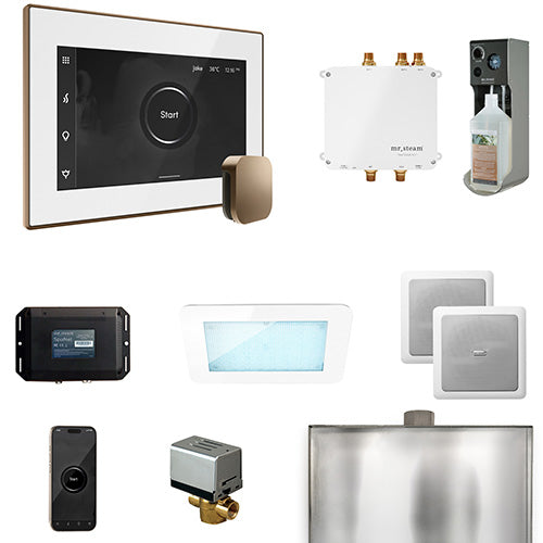 Mr. Steam Residential Bliss Steam Shower Control Package Matte Black
