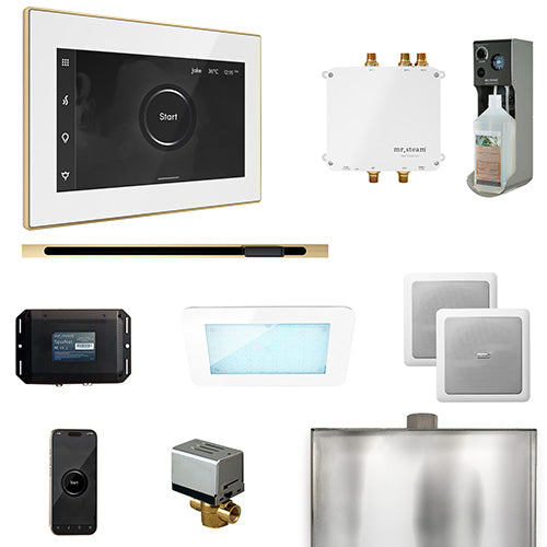 Mr. Steam Residential Bliss Steam Shower Linear Control Package Polished Brass
