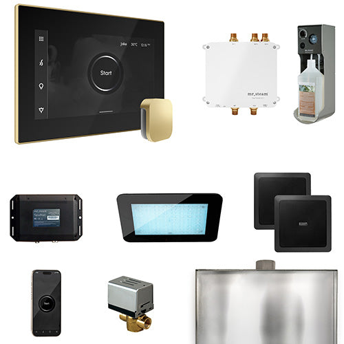 Mr. Steam Residential Bliss Steam Shower Control Package Polished Nickel
