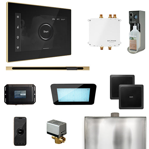 Mr. Steam Residential Bliss Steam Shower Linear Control Package Satin Brass
