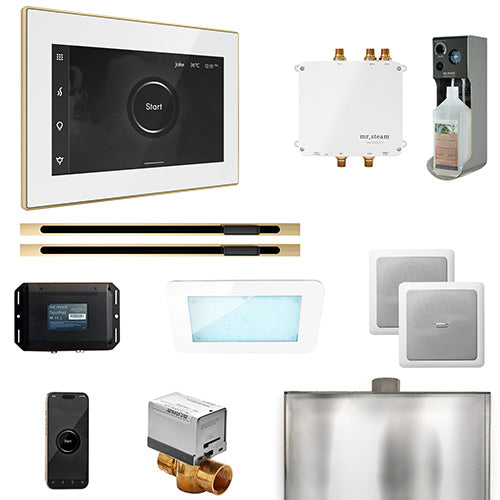 Mr. Steam Residential Bliss Steam Shower Max Linear Control Package Polished Brass
