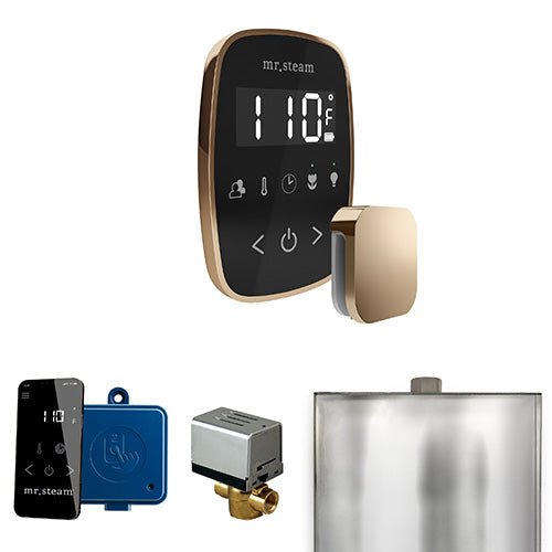 Mr. Steam Residential ButlerFlex Steam Shower Control Package Polished Gold
