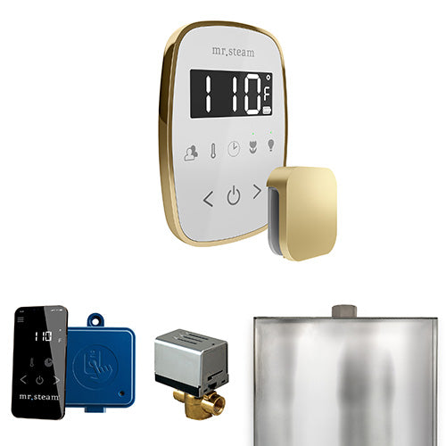 Mr. Steam Residential ButlerFlex Steam Shower Control Package Satin Brass
