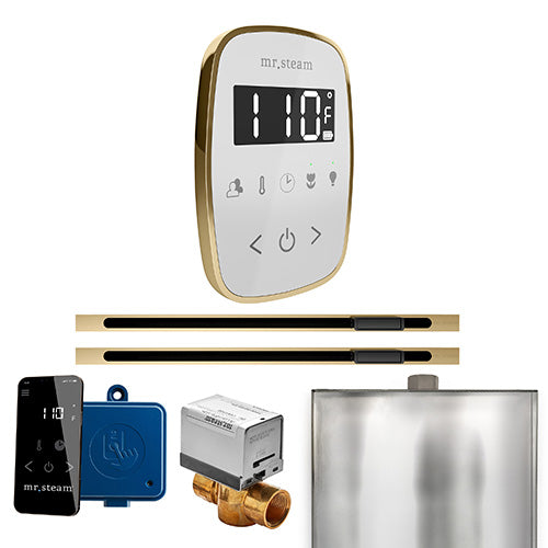 Mr. Steam Residential ButlerFlex Steam Shower Max Control Package Satin Brass
