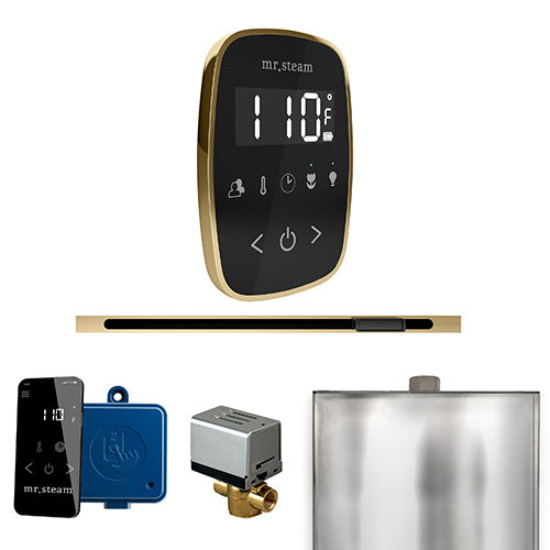 Mr. Steam Residential ButlerFlex Steam Linear Shower Control Package Satin Brass
