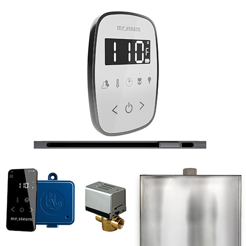 Mr. Steam Residential ButlerFlex Steam Linear Shower Control Package Satin Steel

