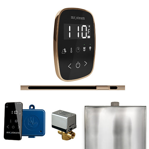 Mr. Steam Residential ButlerFlex Steam Linear Shower Control Package Polished Gold
