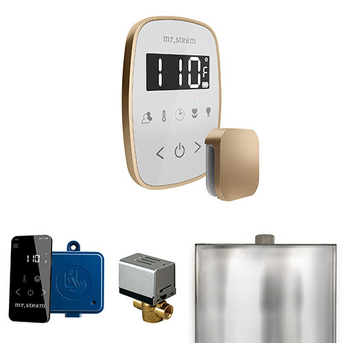 Mr. Steam Residential ButlerFlex Steam Shower Control Package Brushed Bronze
