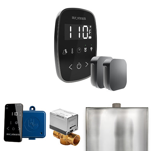 Mr. Steam Residential ButlerFlex Steam Shower Max Control Package Satin Steel

