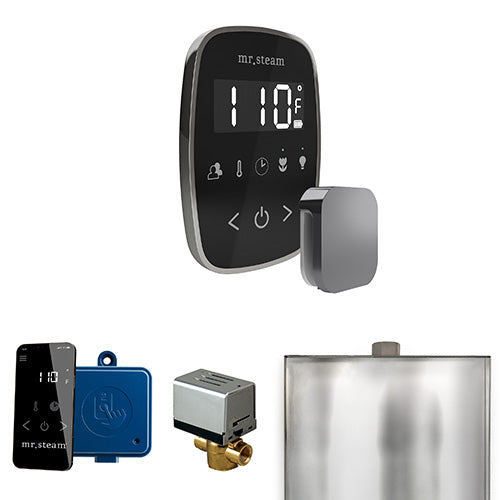 Mr. Steam Residential ButlerFlex Steam Shower Control Package Brilliant Black
