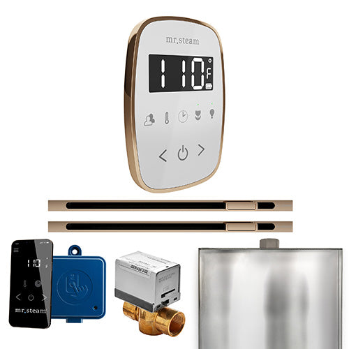 Mr. Steam Residential ButlerFlex Steam Shower Max Control Package Polished Gold
