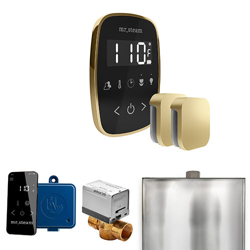 Mr. Steam Residential ButlerFlex Steam Shower Max Control Package Satin Brass
