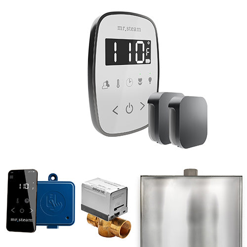 Mr. Steam Residential ButlerFlex Steam Shower Max Control Package Satin Steel
